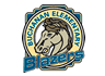 Buchanan Elementary logo