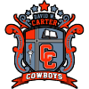 Carter, David W. High logo