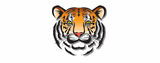 Chinook Trail Elementary logo