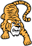 Dripping Springs Middle logo