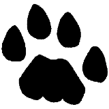 High Country Elementary logo