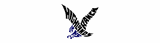 Highlands Ranch High School logo
