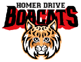 Homer Elementary (Ignite) logo