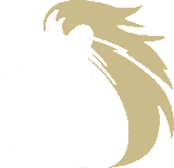 Lake Country Elementary logo