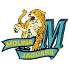 Molina, Moises E. High logo