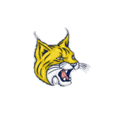 Mountain View Elementary logo