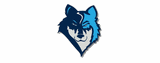 Timberview Middle School logo