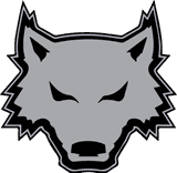 Transit Middle logo