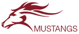Wunsche High School logo